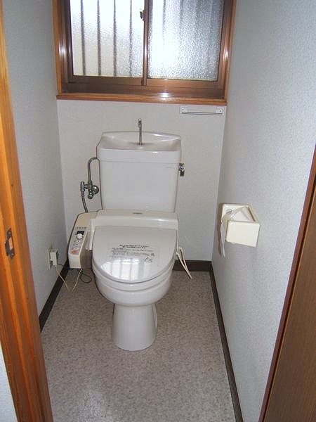 Other. Toilet with Washlet