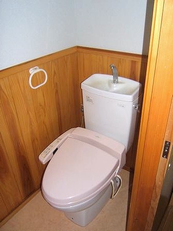 Other. Cute pink toilet seat, of course with washlet.