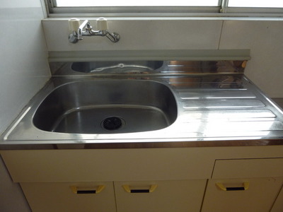 Kitchen. sink