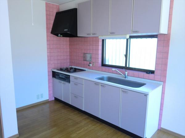 Kitchen. Pink It is fashionable