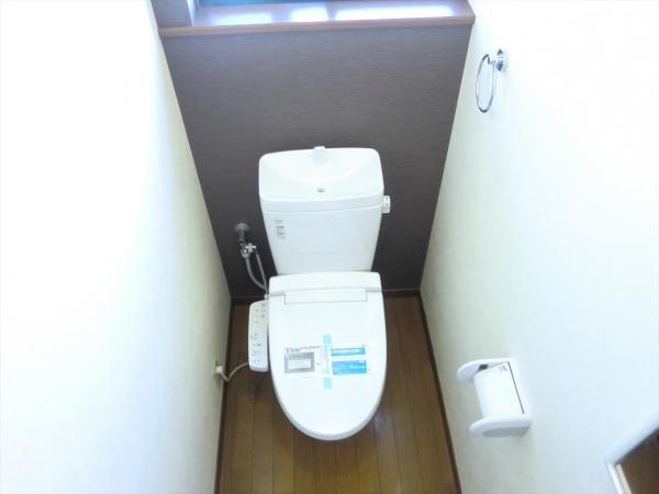 Toilet. Toilet bowl is replaced..
