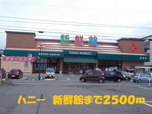 Supermarket. Honey fresh Museum Emori 2500m to the store (Super)