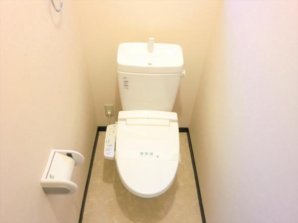 Toilet. Hot water is washing type