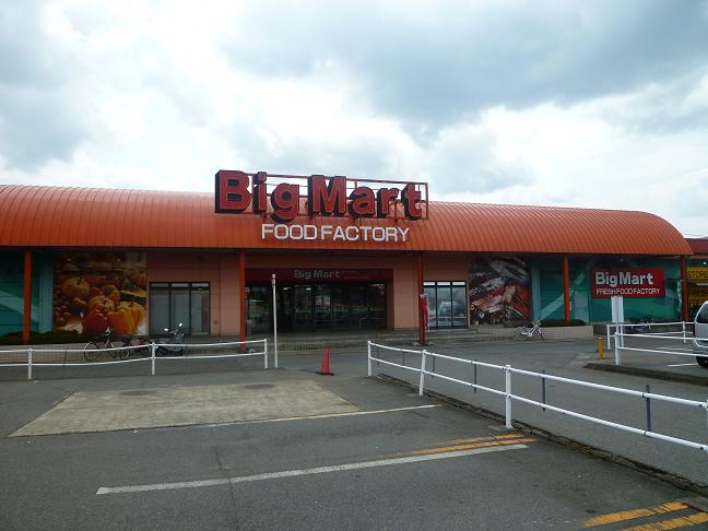 Supermarket. BigMart Harue store up to (super) 1124m