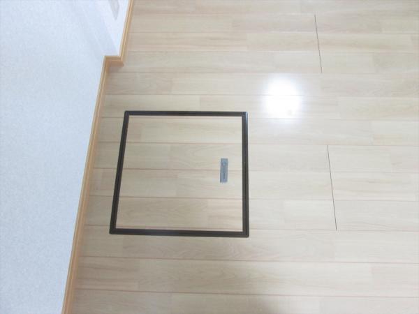 Other. It is under the floor inspection completed