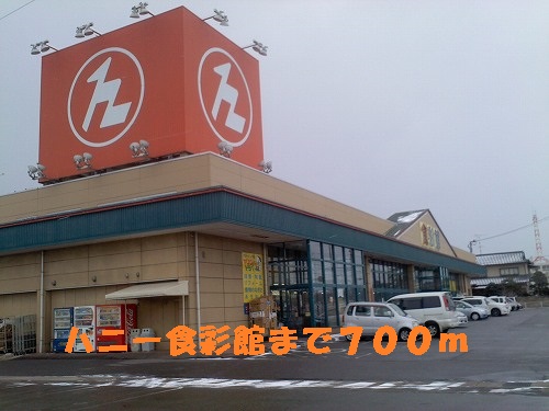 Supermarket. 700m until Honey Shokuirodori Hall (super)