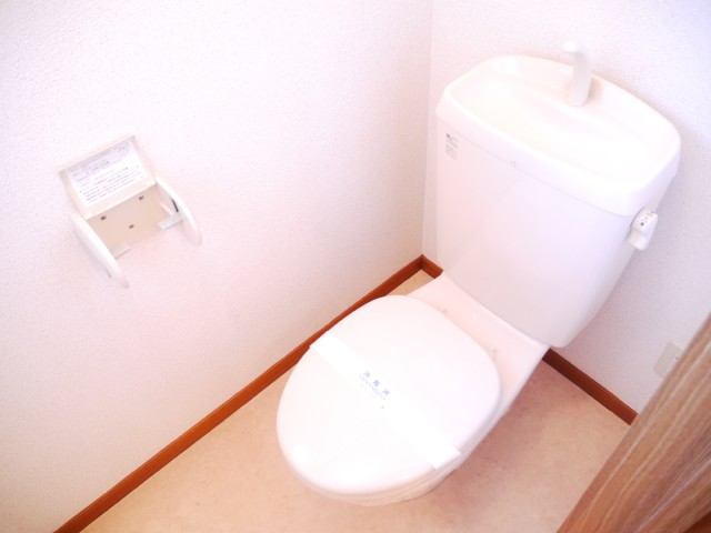 Toilet. It is the state of the toilet. 