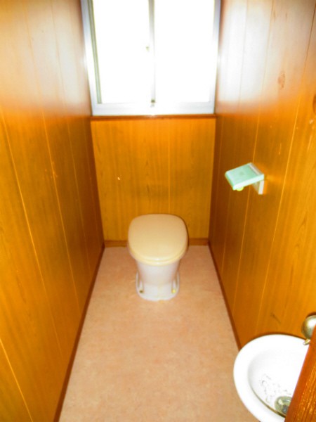 Toilet. State of the toilet. 