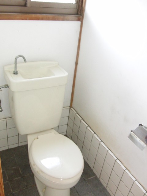 Toilet. It is a photograph of the toilet. 