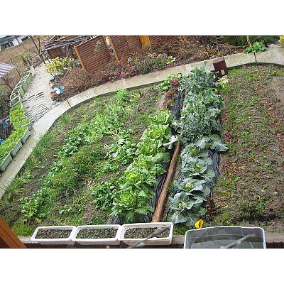 Garden. Spacious garden you can enjoy, such as gardening and home garden!