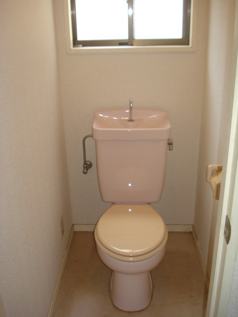 Toilet. It comes with a window to the toilet.