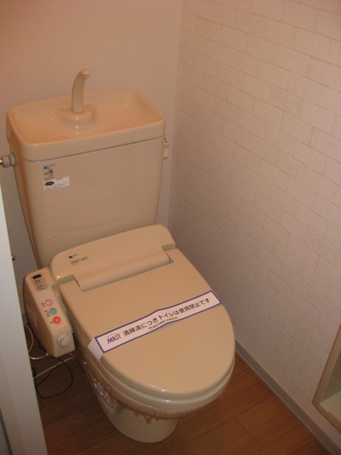 Toilet. Washlet toilet