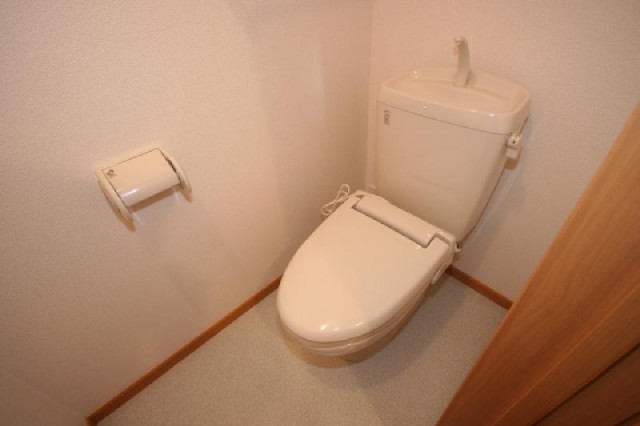 Toilet. It is the state of the toilet.