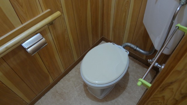 Toilet. It is a flush toilet