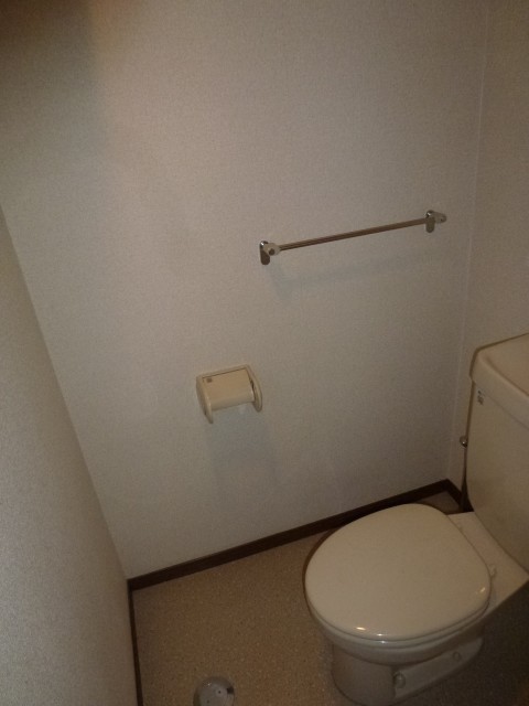 Toilet. It is a flush toilet