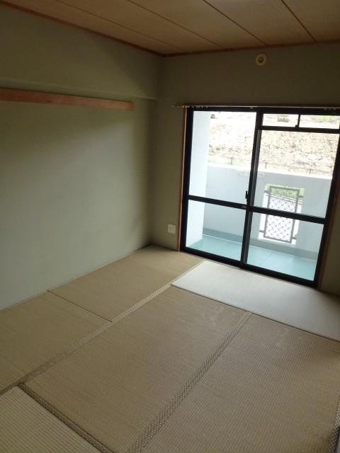 Other room space. Is a Japanese-style room