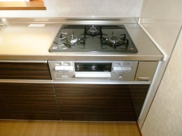 Other introspection. Kitchen