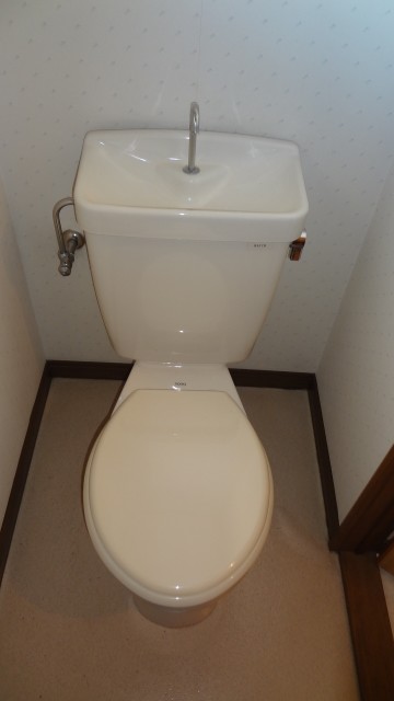 Toilet. It is a flush toilet