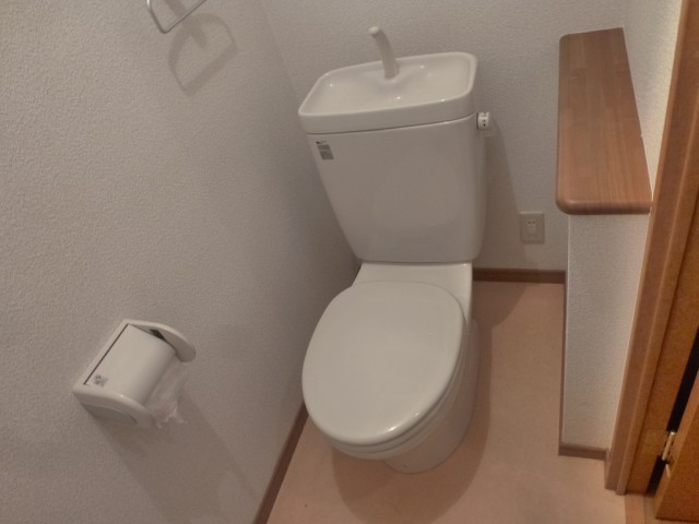 Toilet. Flush toilet! ! ! 