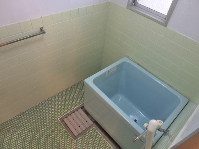 Bath. It comes with a shower! 