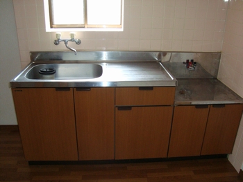 Kitchen. Sink