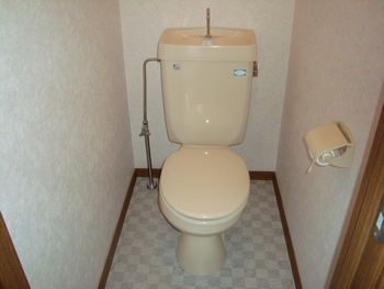 Toilet. Toilet