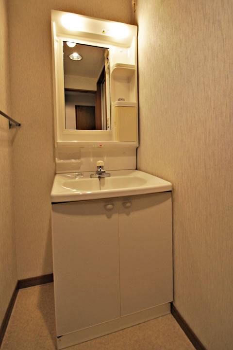 Washroom. Bathroom vanity