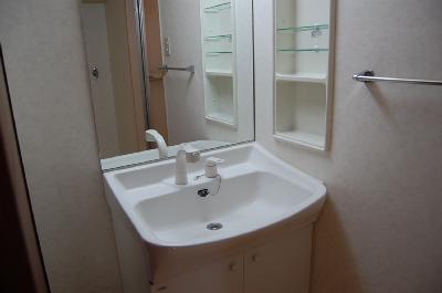 Washroom. Large washbasin. Isomorphic Property reference photograph