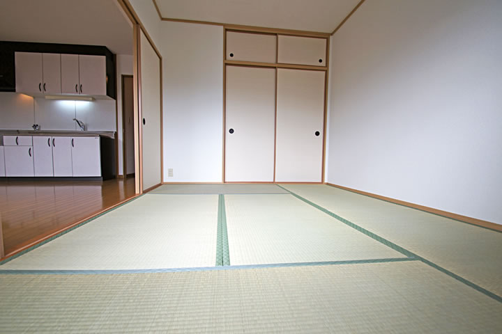 Other room space. Japanese style room