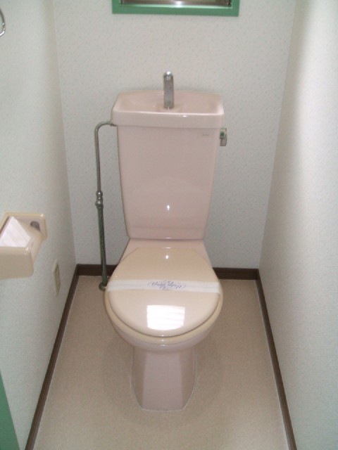 Toilet. Toilet with a small window