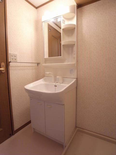 Washroom. Bathroom Vanity