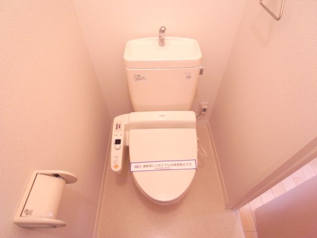 Toilet. Toilet