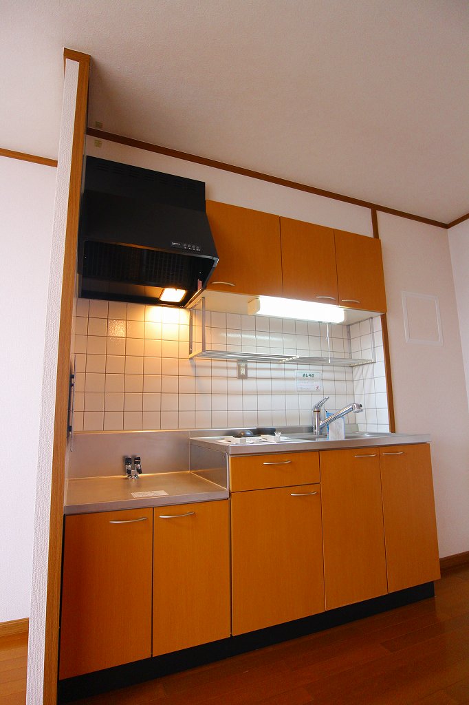 Kitchen. Gas stove installation type