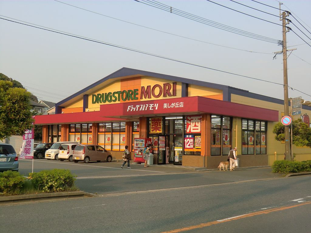 Dorakkusutoa. Drugstore Cosmos 1100m until (drugstore)