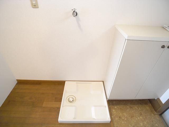 Other room space. It is indoor washing machine Storage.