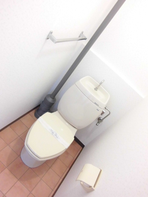 Other. The same type of toilet photo
