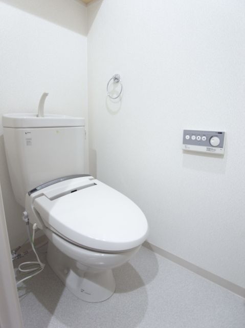Toilet. Toilet (Model Room)