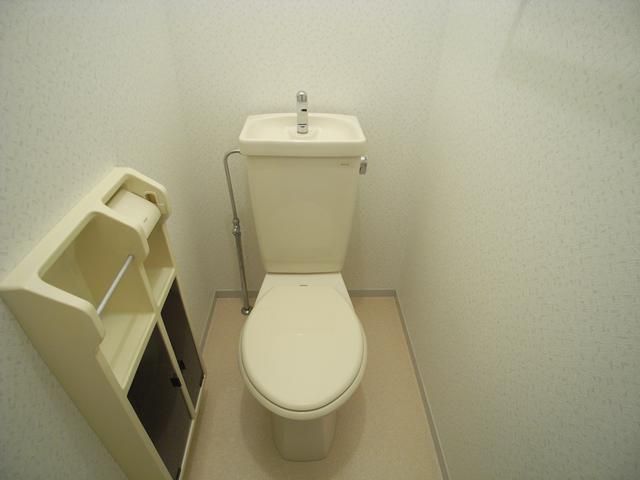 Toilet. It is a Western-style toilet.