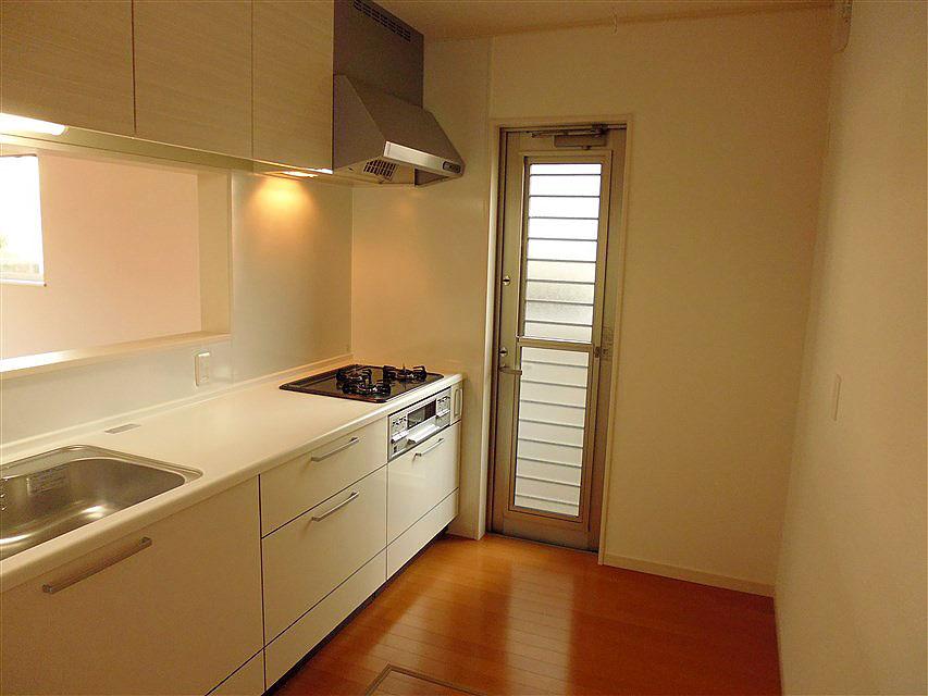 Kitchen. Kitchen there is a back door