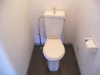 Toilet. Toilet