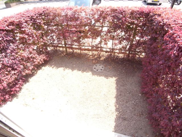 Balcony. Garden