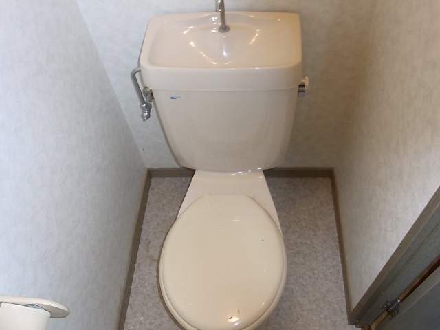 Toilet. Toilet