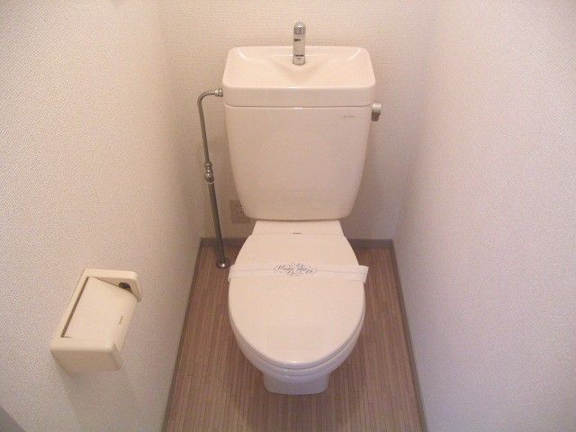 Toilet. Toilet