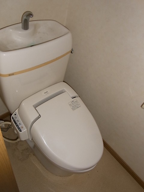 Toilet. Toilet with a bidet