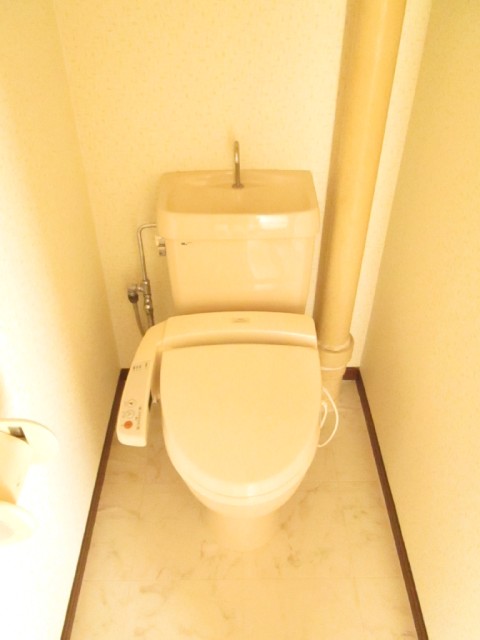 Toilet. Toilet with a bidet