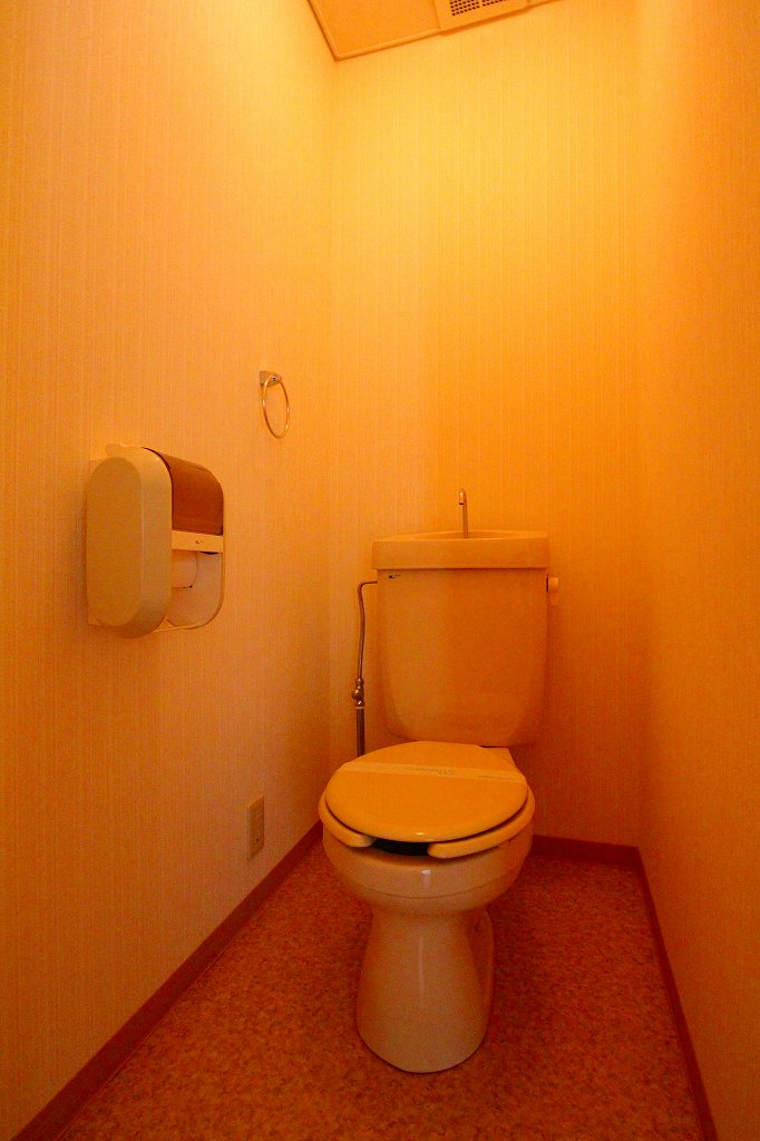 Toilet. It is a photograph of another in Room