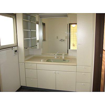 Wash basin, toilet. Bathroom vanity! 