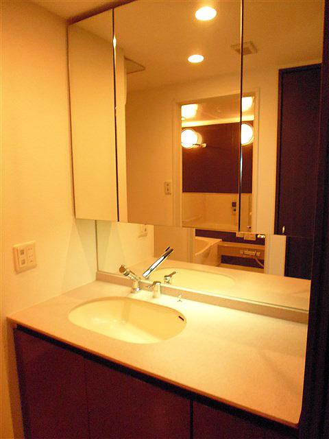 Wash basin, toilet. Three-sided vanity shower