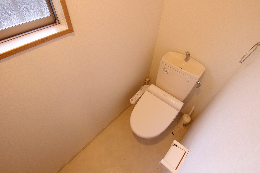 Toilet. Toilet