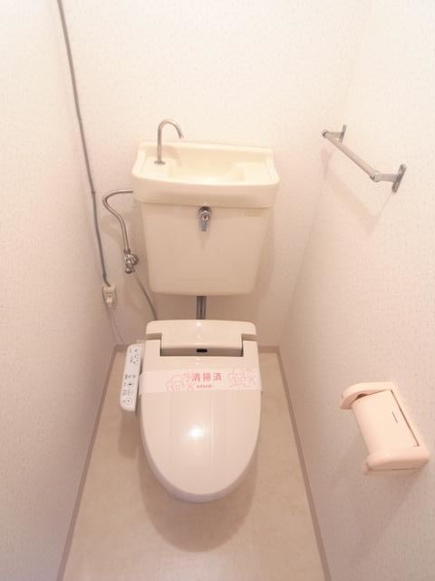 Toilet. Cleaning function with toilet seat